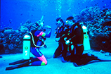discover scuba cozumel to learn how to scuba dive in cozumel mexico