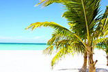 isla pasion beach all inclusive day pass to passion island cozumel