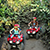 ATV Jungle Adventure Cozumel