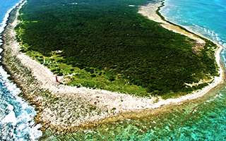 Discover Punta Molas in Cozumel Mexico